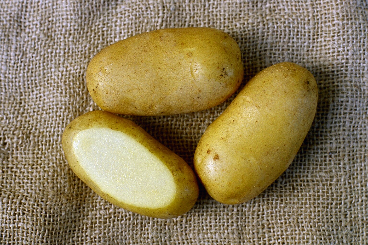 KartoffelNyt nr. 35, 2017