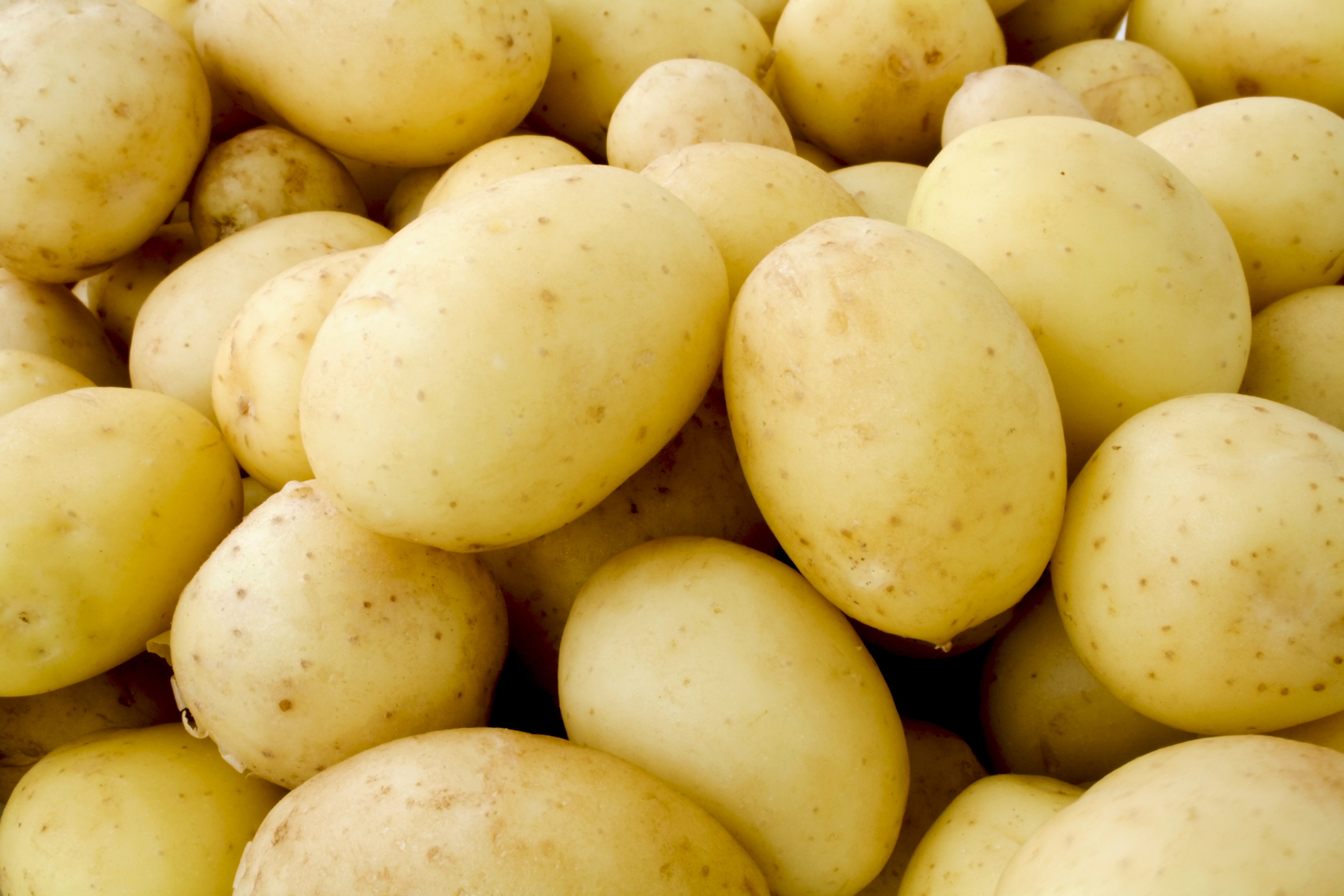 KartoffelNyt nr. 3, 2022