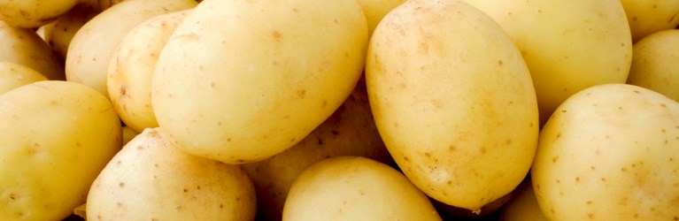 KartoffelNyt nr. 36, 2017