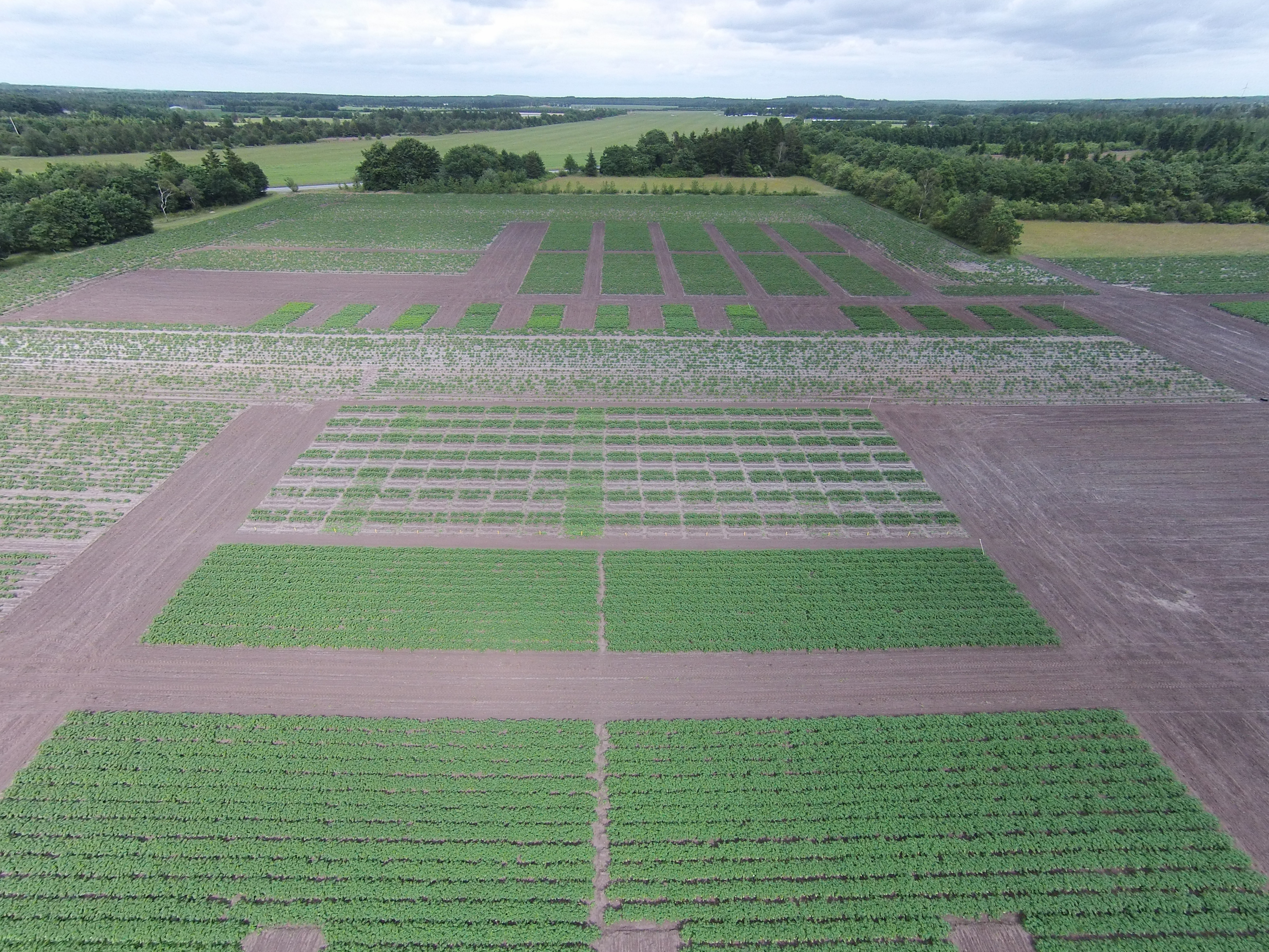 KartoffelNyt nr. 23, 2022