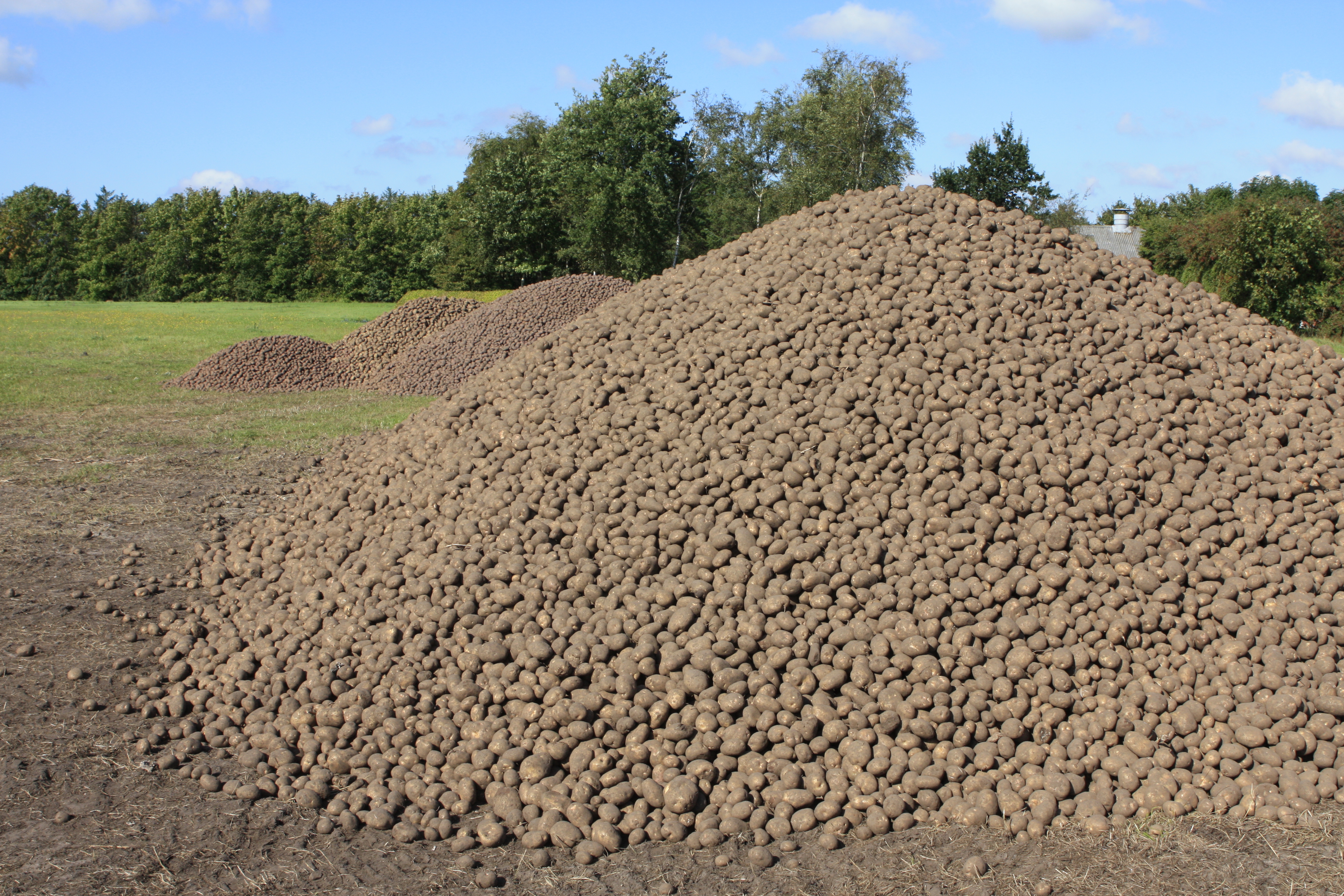 KartoffelNyt nr. 27, 2022