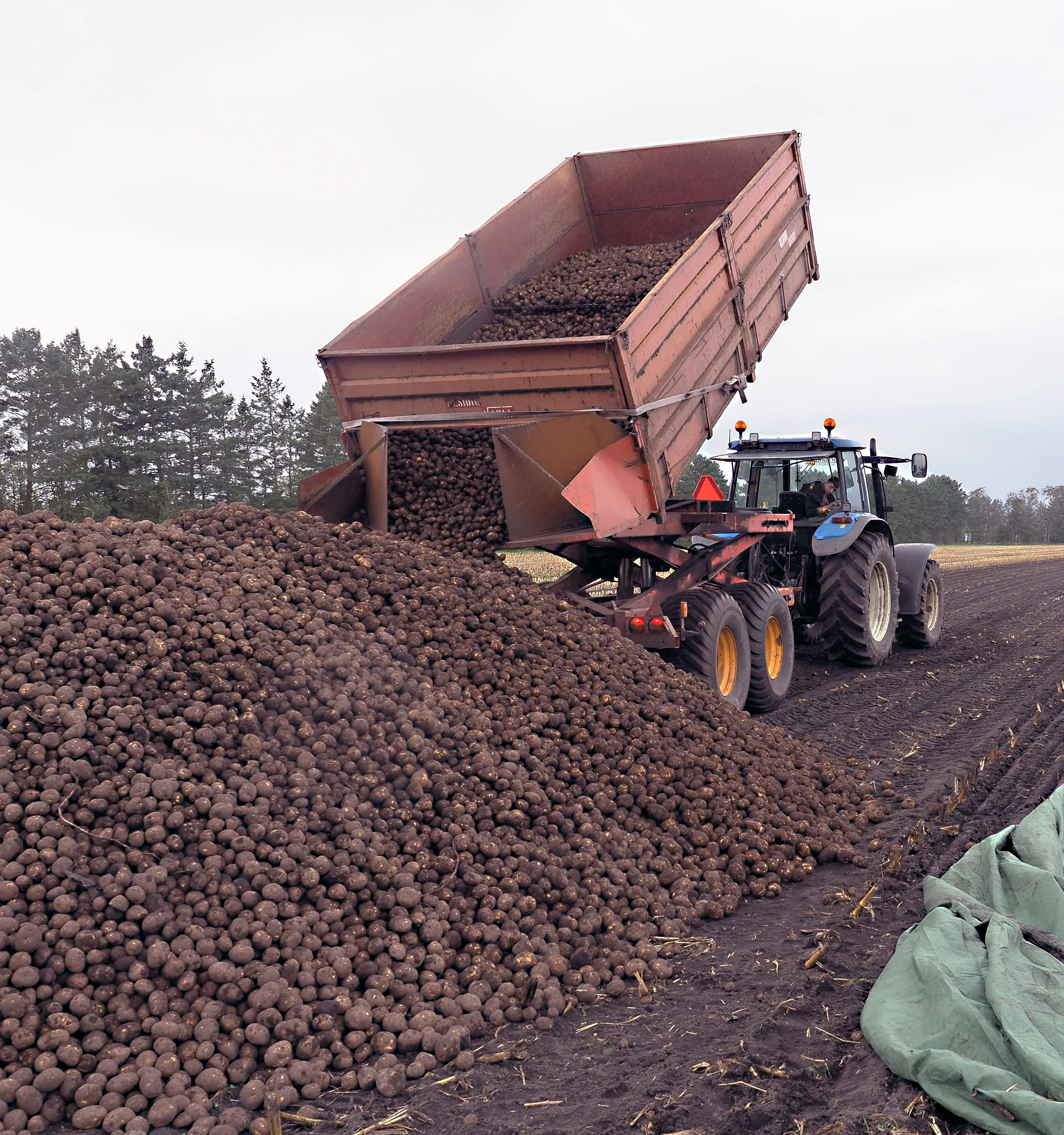 KartoffelNyt nr. 28, 2022